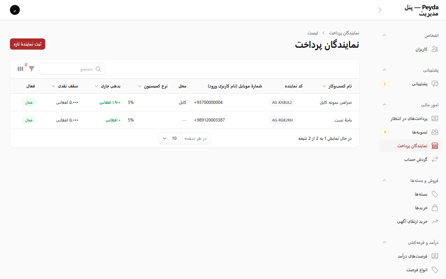 پنل مدیریت: نمایندگان پرداخت